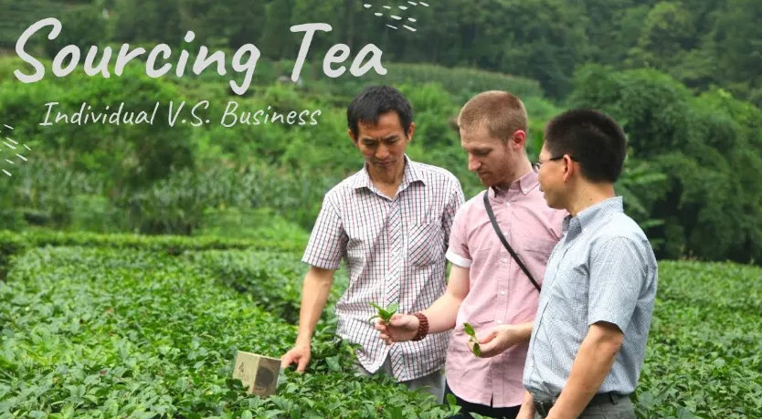Cómo obtener el té de la identificación y la investigación de la investigación del proveedor de China: el ESG Deep Dive

 
 
 